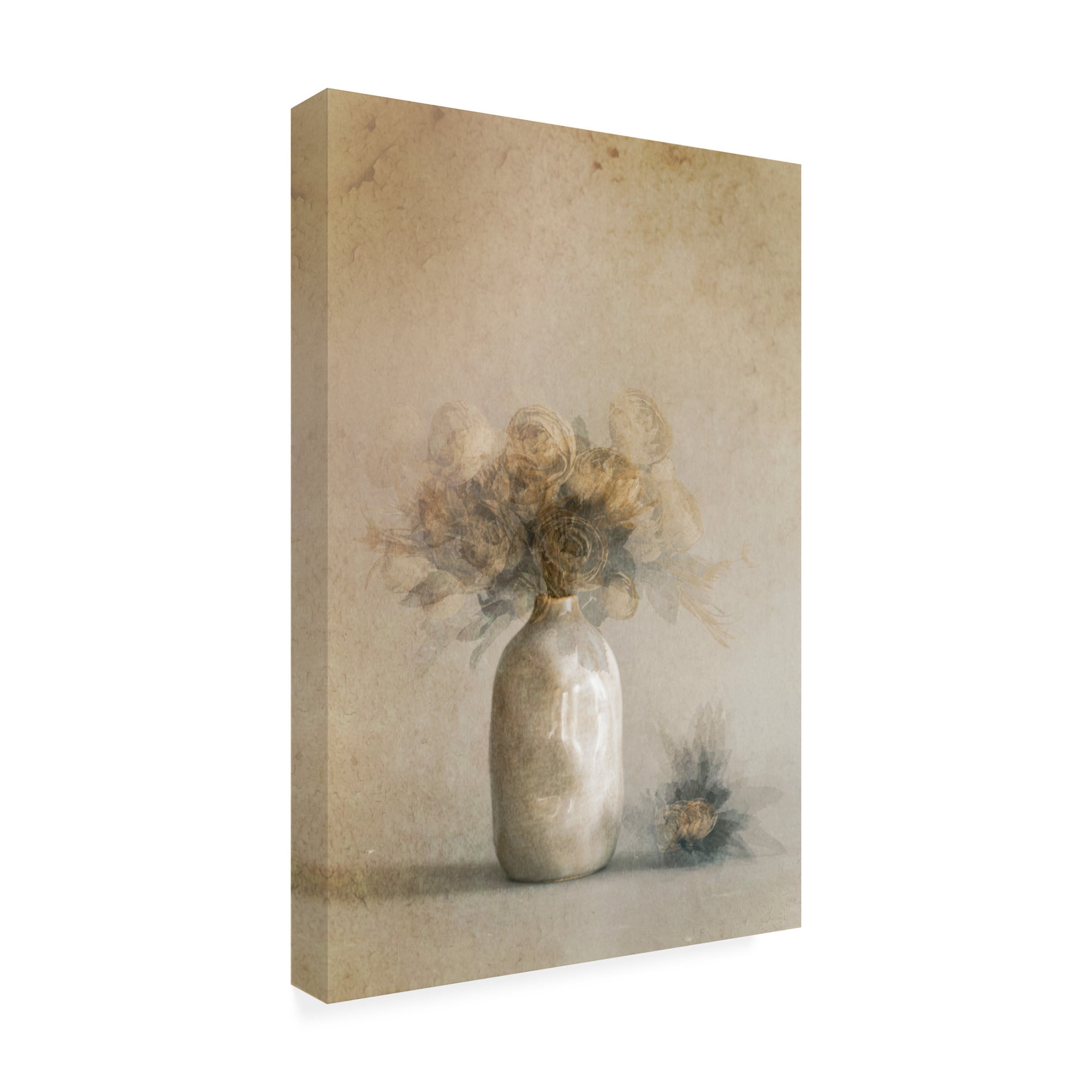 Trademark Fine Art Cicek Kiral Fallen Leaves Canvas Wall Art