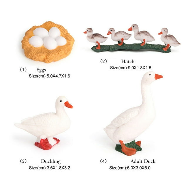 pitrice 1 Set Modèle de Ver Pique Matériau Plastique Premium Figurines d'Insectes Significatives Modèles Éducatifs Précoces pour Projet Scolaire dock type 1