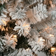 National Tree Company 4.5 ft. Pre-Lit Artificial Acacia Medium Christmas Tree, Green, 100 Clear Lights, Flocked, Includes Stand