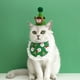 thumbnail image 4 of Bufanda y gorro de fiesta para cumpleaños de gato y perro. Mini babero de cumpleaños de gato. Disfraz de cumpleaños para mascota. Artículos para fiesta de cumpleaños de gato., 4 of 5