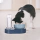 thumbnail image 3 of Popetpop Pet Water and Food Bowl Conjunto de alimentos de dispensador de agua automática para gatos y perros pequeños, 3 of 5