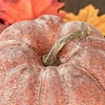 thumbnail image 2 of Factory Direct Craft Decoration, Orange Pumpkins, 3 Count, 2 of 4