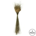 thumbnail image 5 of Vickerman 26" Natural Tulip Star, 16oz (4 -4oz Bundles), Dried, 5 of 5