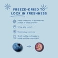 thumbnail image 4 of Tru Fru Freeze-Dried Blueberries in Creme 3.4 oz., 4 of 5