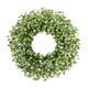 thumbnail image 1 of Corona de plantas de simulación, arreglo floral artificial, adorno para colgar en la pared, decoración para puerta, 1 of 2