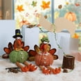 thumbnail image 6 of MOQIN Thanksgiving Tabletop Decor - Stuffed Turkey Animal Plush Doll Kit - Pilgrim Turkey Decor for Autumn Harvest Home and Tabletop Centerpieces Ornaments, 17 inch, 6 of 9