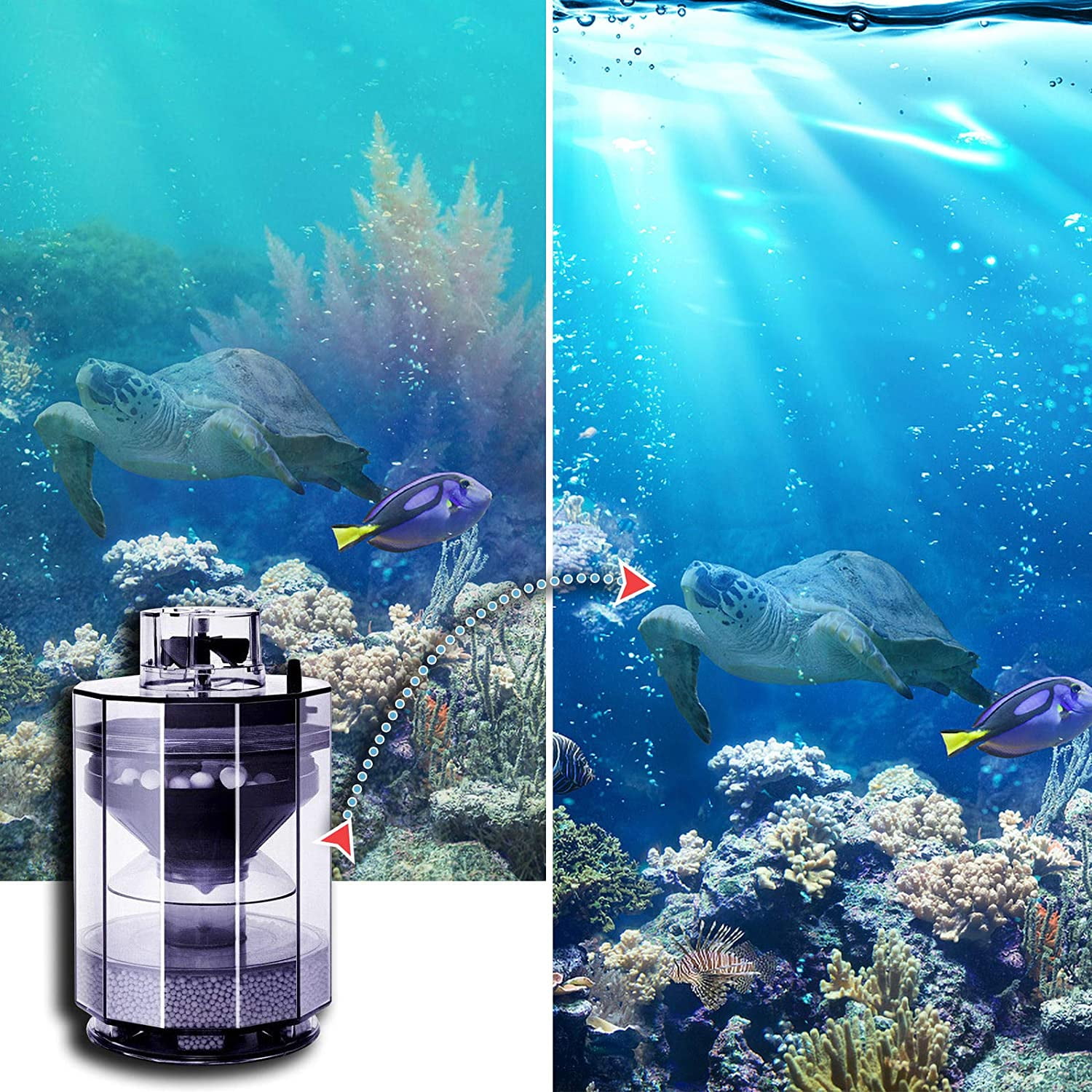 Fully automatic fish tank best sale