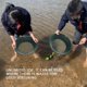 thumbnail image 5 of 1 pieza de tamiz clasificador de malla para tamiz de oro verde, herramienta de detección de metales para tamiz, clas, 5 of 5