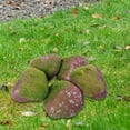 thumbnail image 6 of CarpNettore 5 Pcs Artificial Fake Rocks Decorative for Potted Plants Indoor Outdoor DIY Lawn E, 6 of 9