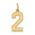 thumbnail image 1 of 14K Yellow Gold Charm Pendant Themed 2 18 mm 7 Small Satin Number, 1 of 3