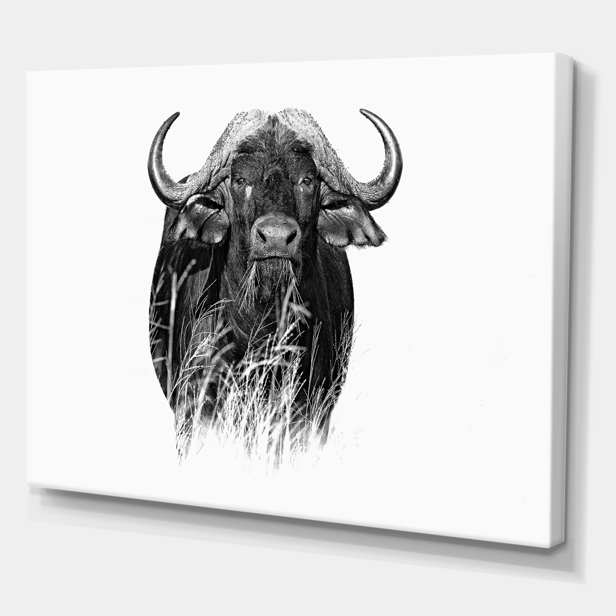 Designart ' Black and White Portrait Of Buffalo IV ' Farmhouse Canvas Wall Art Print
