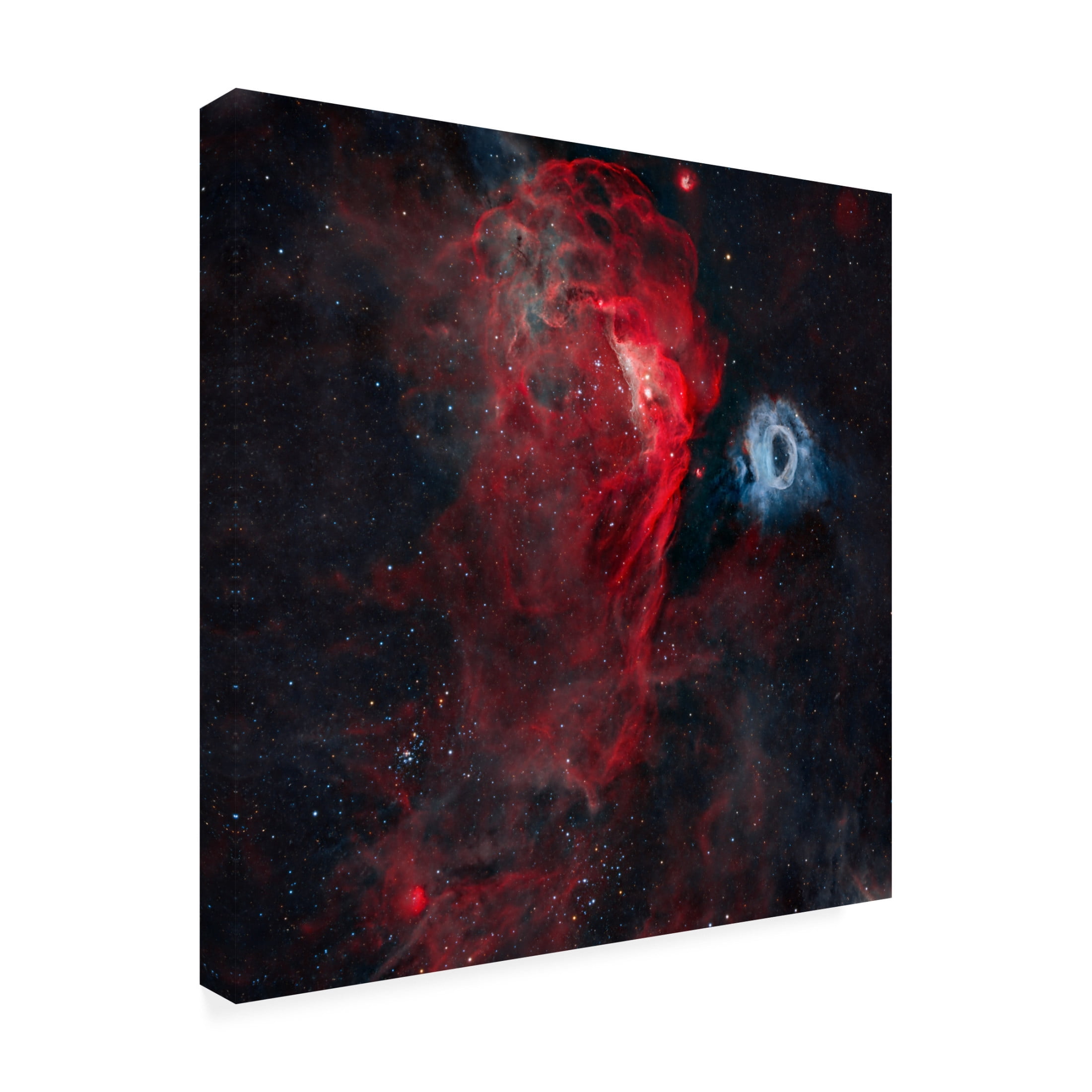 Trademark Fine Art Vikas Chander The Cosmic Reef Canvas Wall Art