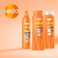 thumbnail image 4 of Shampoo Sedal restauración Instantánea 620 ml, 4 of 6