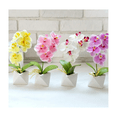 thumbnail image 5 of 4 pzs Arreglo Orquídeas Artificiales Decoración Con Macetas Malubero, Multicolor, 5 of 5
