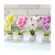 thumbnail image 5 of 4 pzs Arreglo Orquídeas Artificiales Decoración Con Macetas Malubero, Multicolor, 5 of 5