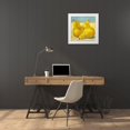 thumbnail image 3 of OToole, Tim 15x15 White Modern Wood Framed Museum Art Print Titled - Tres Pears, 3 of 4
