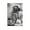 Unframe-style, variant on Constance Binney American Stage,Film Actress Print Poster (12) Canvas Art Poster and Wall Art Picture Print Modern Family bedroom Decor Posters 12x18inch(30x45cm)
