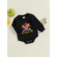 thumbnail image 2 of Bagilaanoe Baby Girl Boy Thanksgiving Clothes Romper Sweatshirt for Newborn Long Sleeve Bodysuits Letter Turkey Pullover 3M 6M 12M 18M Infant Casual Tee Tops, 2 of 7
