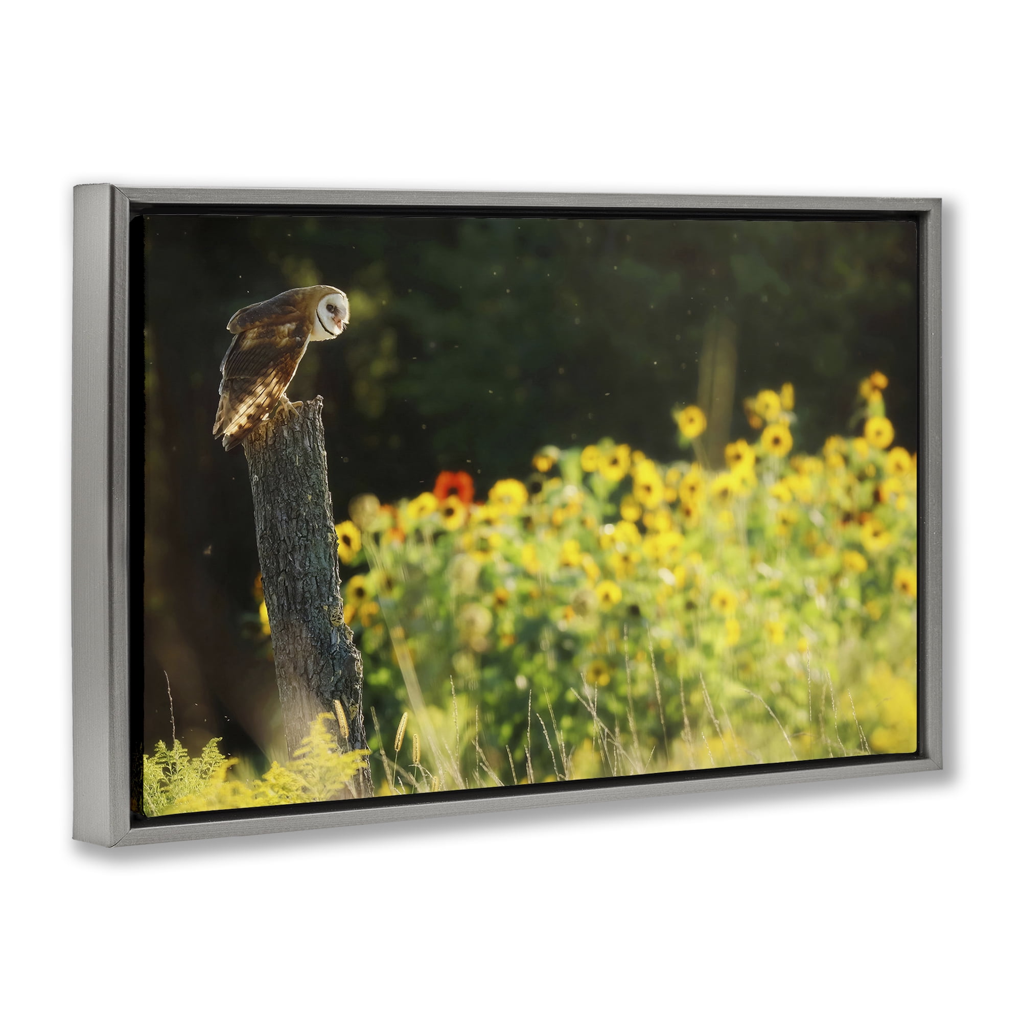 Stupell Industries Owl Perched in Meadow Landscape Photography Gray Floater Framed Canvas Art Print Wall Art, 25 x 17