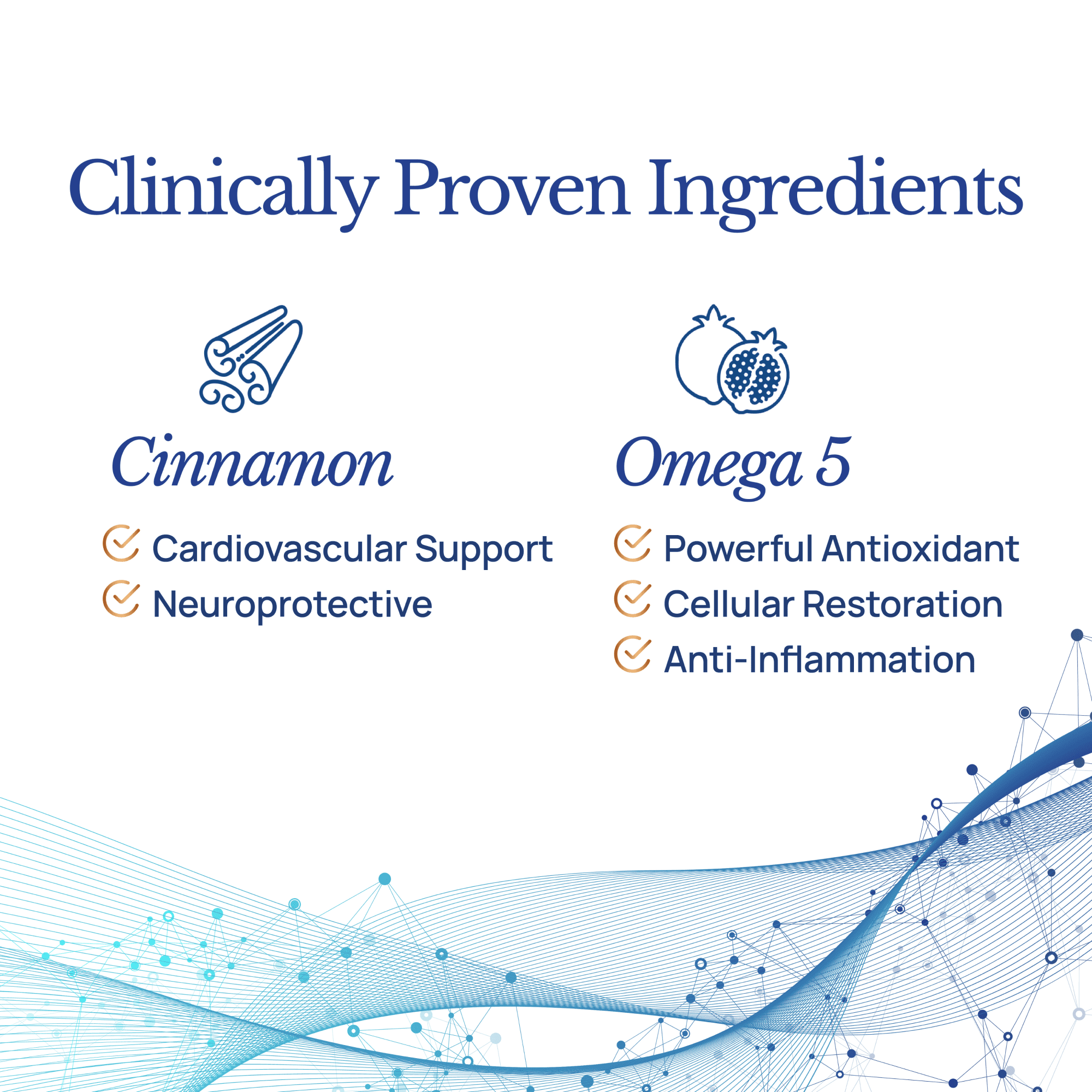 3 MONTH SUPPLY Brain Protect™ Nano Omega 5 Cinnamon Brain Supplement for Memory Focus Patent-Pending Nano-Formulation Antioxidant 180 Softgels Pomegranate Seed Punicic Acid