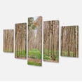 thumbnail image 2 of Beautiful Rubber Plantation Photo - Modern Forest Canvas Art, 2 of 3