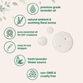 thumbnail image 3 of Aceite esencial de lavanda Micro Ingredients 237 ml premium, 3 of 9
