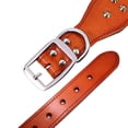 thumbnail image 3 of Didog 2" Wide Genuine Leather Studded Dog Collar for Medium Large Dogs, Heavy Duty Unique Rivet Pet Collars, 3 of 9
