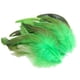 thumbnail image 2 of 50 Uds. de plumas para manualidades DIY, accesorios de artesanía, decoraciones de plumas de pollo ligeras y suaves portátiles para fabricación de Verde BLESIY Plumas para manualidades, 2 of 8