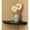 Black, variant on Wood Shelving Villages Black Corner Shelf