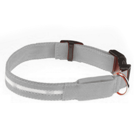 

LedDogCollar USBRechargeableLightUpDogCollarsforSmallDogs&LargeCats GlowingPetDogCollarforNightSafetyWaterResistantLightedPuppyCollar White F6918