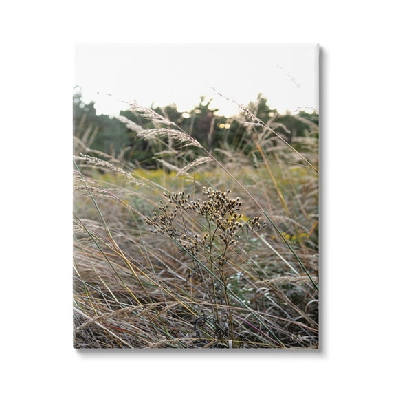Stupell Industries Countryside Meadow Blooming Reeds Tall Grass Buds Canvas Wall Art, 16 x 20, Design by Donnie Quillen