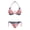 American Flag Design, variant on Smoky Mexican Flag with National Emblem Print Bathing Suit, Sexy Ladies Swimwear, Soft Fabric Quick Drying Swimsuits for Women Regular & Plus Size