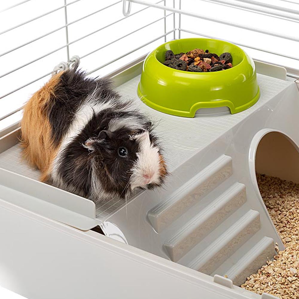 cages for guinea pigs at walmart