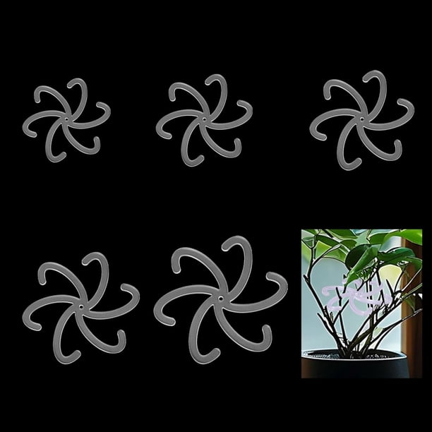 5 soportes acrílicos para plantas trepadoras con forma de flor, estacas de soporte para plantas, accesorios para el crecimiento de plantas de interior y exterior.