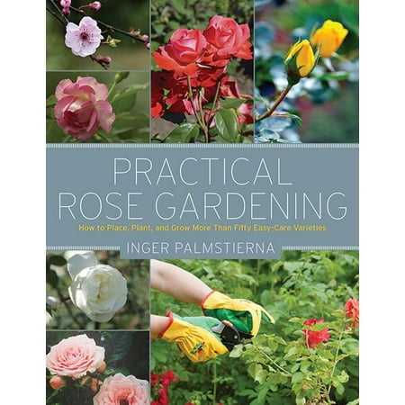 Practical Rose Gardening : How to Place, Plant, and Grow More Than Fifty Easy-Care (Best Place To Grow Marijuana)