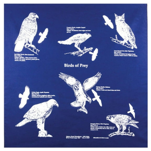 Printed Image Birds of Prey Bandanna