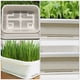 thumbnail image 4 of unbranded 1Ud De Plástico Para Cultivo De Vegetales Con Malla Para Aireación Y Drenaje, 4 of 8