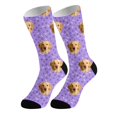 thumbnail image 1 of Stockings For Adults Funny Animal Print Bone Design Comfortable Stretchable Stockings Stocking For Home And Leisure 5PCS, 1 of 8
