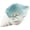 Blue&White-Conch, variant on Conch Shape Ceramic Jewelry Tray, Aqua Shell Trinket Dish Ceramic Ring Earring Holder Ocean-themed Decorative Trinket Plate for Rings Earrings Necklaces Bracelet Jewelry Watch Keys