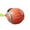 Orange, variant on Kna Durable Interactive Chew For Puppies Teething And Health Play Training