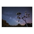thumbnail image 2 of Joshua Tree, Milky Way (19x27 inches, Premium 500 Piece Jigsaw Puzzle for Adults and Family, Made in USA), 2 of 4
