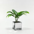thumbnail image 4 of WGV International Decorative Glass Square Cube Vase, Candle Holder, 1 Piece 6" x 6" x 6" - Silver, 4 of 5