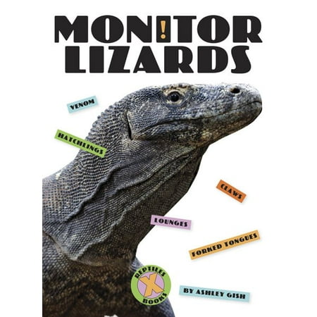 Monitor Lizards (Best Monitor Lizard For Beginners)
