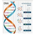 thumbnail image 3 of Ambesonne Science Shower Curtain, Biochemistry Fun, 69"Wx84"L, Multicolor, 3 of 3
