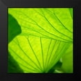 thumbnail image 2 of Poinski, Dianne 12x12 Black Modern Framed Museum Art Print Titled - Vivid Green 2, 2 of 5