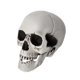 thumbnail image 1 of Decoración Realista De Halloween Para Bares Y Fiestas Ideal Para, 1 of 6
