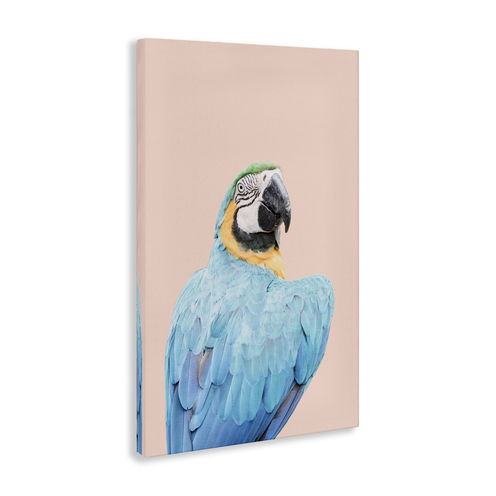 Stupell Industries Blue Ara Macaw Animals Painting Wrapped Canvas Art Print Wall Art, 20 x 30