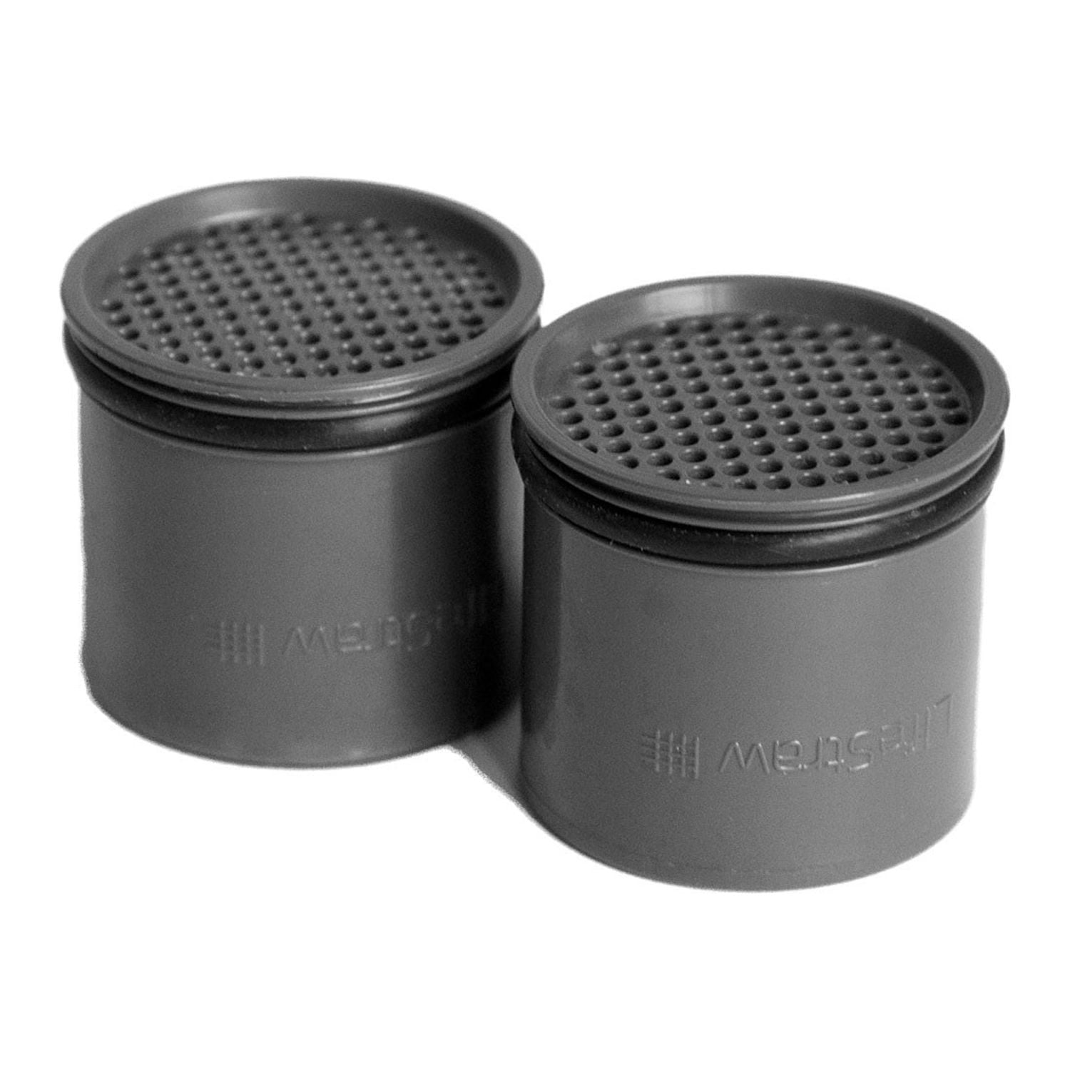 LifeStraw Replacement Carbon Filter for All Go Products - 2pk