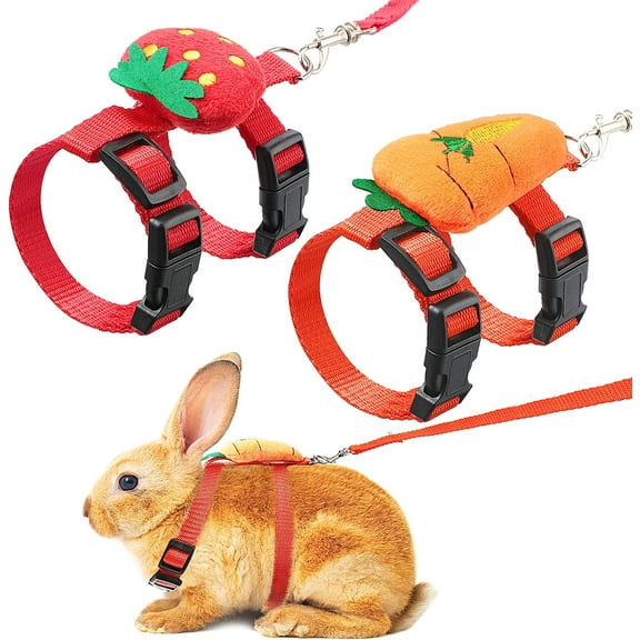 2 Sets Adjustable Bunny Rabbit Harness and Leash Set Small Pet Cute Vest Harness Leash Ferret Harness Guinea Pig Harness Ferret Leash Decorations Bunny Kitten Puppy, Small Pets