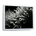 thumbnail image 2 of Designart "Monochrome Anemone In Colorful Photo I" Coastal Coral Under Water Floater Framed Wall Art Living Room, 2 of 5